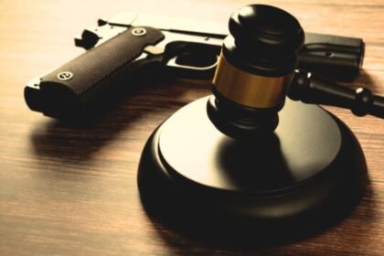 Advocates Push for Stronger Domestic Violence Gun Laws in Illinois