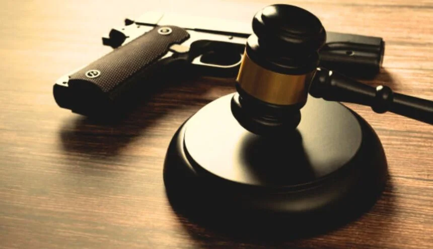 Advocates Push for Stronger Domestic Violence Gun Laws in Illinois