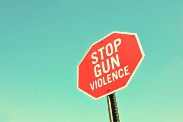 Gun Violence Gap Between Red and Blue America