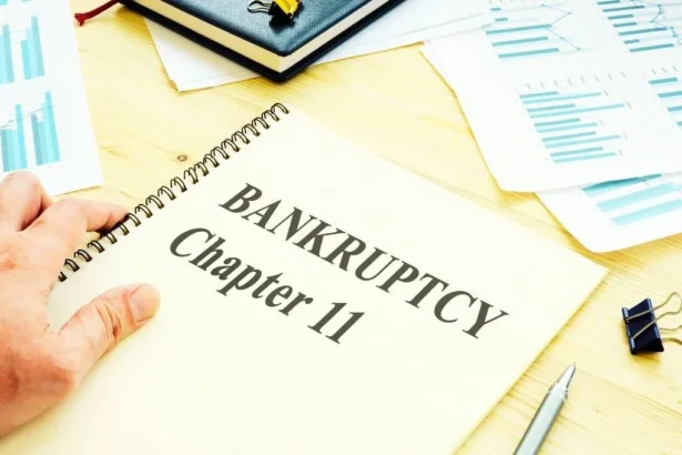 Terraform Labs, Creator of TerraUSD, Enters Chapter 11 Bankruptcy