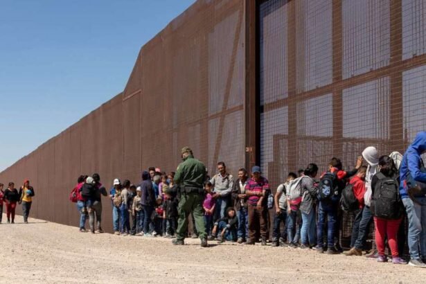 U.S. Border Officers Report Steep Decline in Illegal Entries After Mexico Bolsters Immigration Enforcement