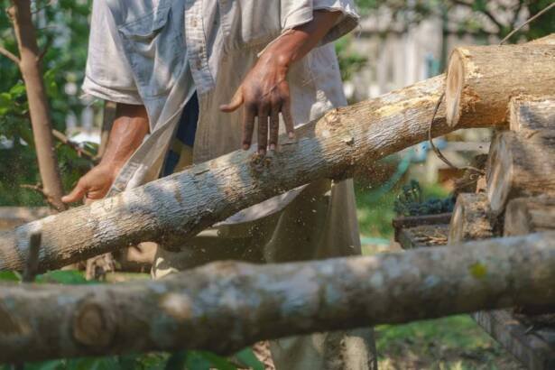 Florida Couple Sentenced for $65 Million Illegal Wood Smuggling Scheme