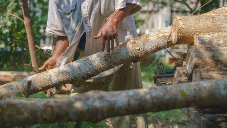 Florida Couple Sentenced for $65 Million Illegal Wood Smuggling Scheme
