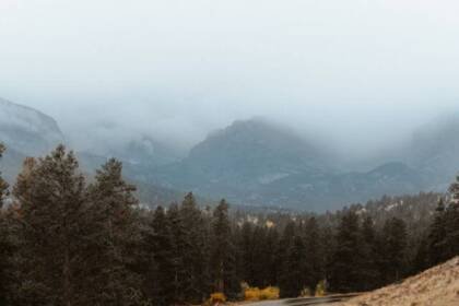 Texas driver's license suspension and revocation laws