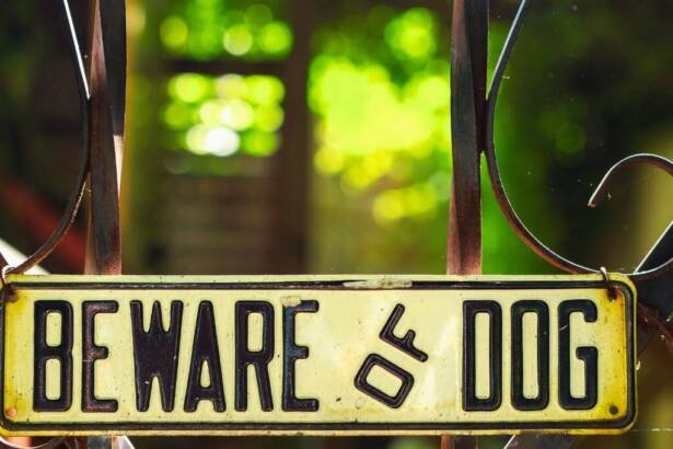 States with Strict Liability Dog Bite Laws