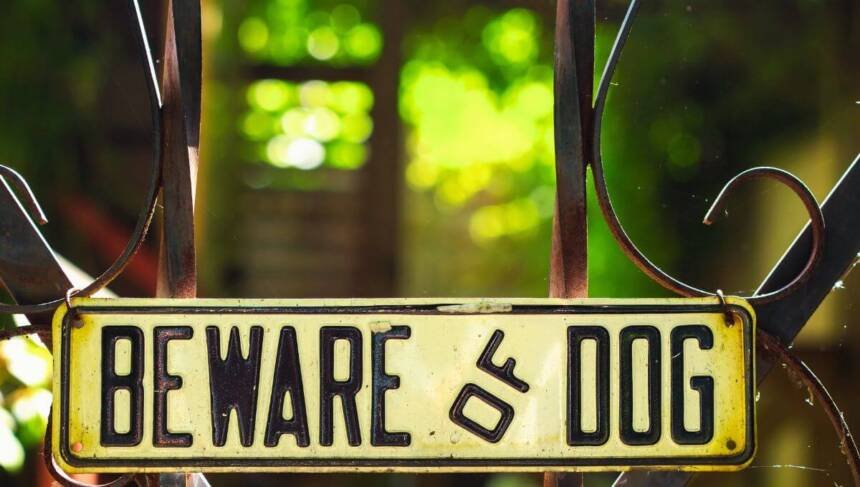 States with Strict Liability Dog Bite Laws