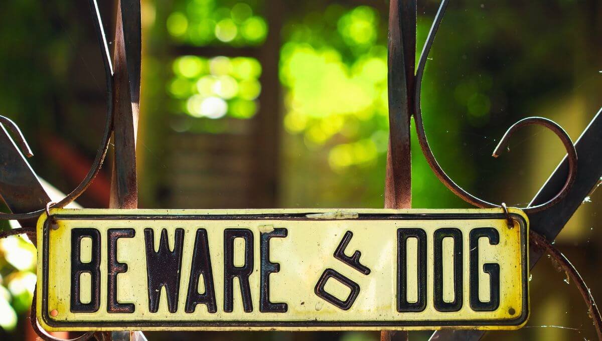 States with Strict Liability Dog Bite Laws