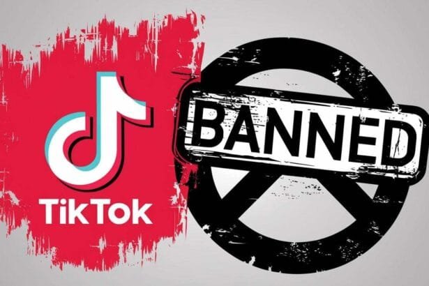 TikTok Ban in the United States Can Trump and the Supreme Court Save It